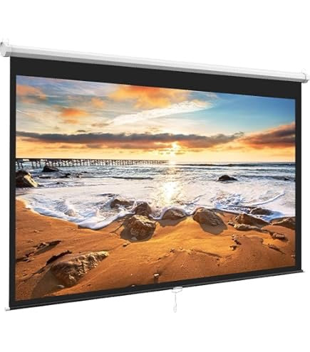 projector Screen (120 inch)